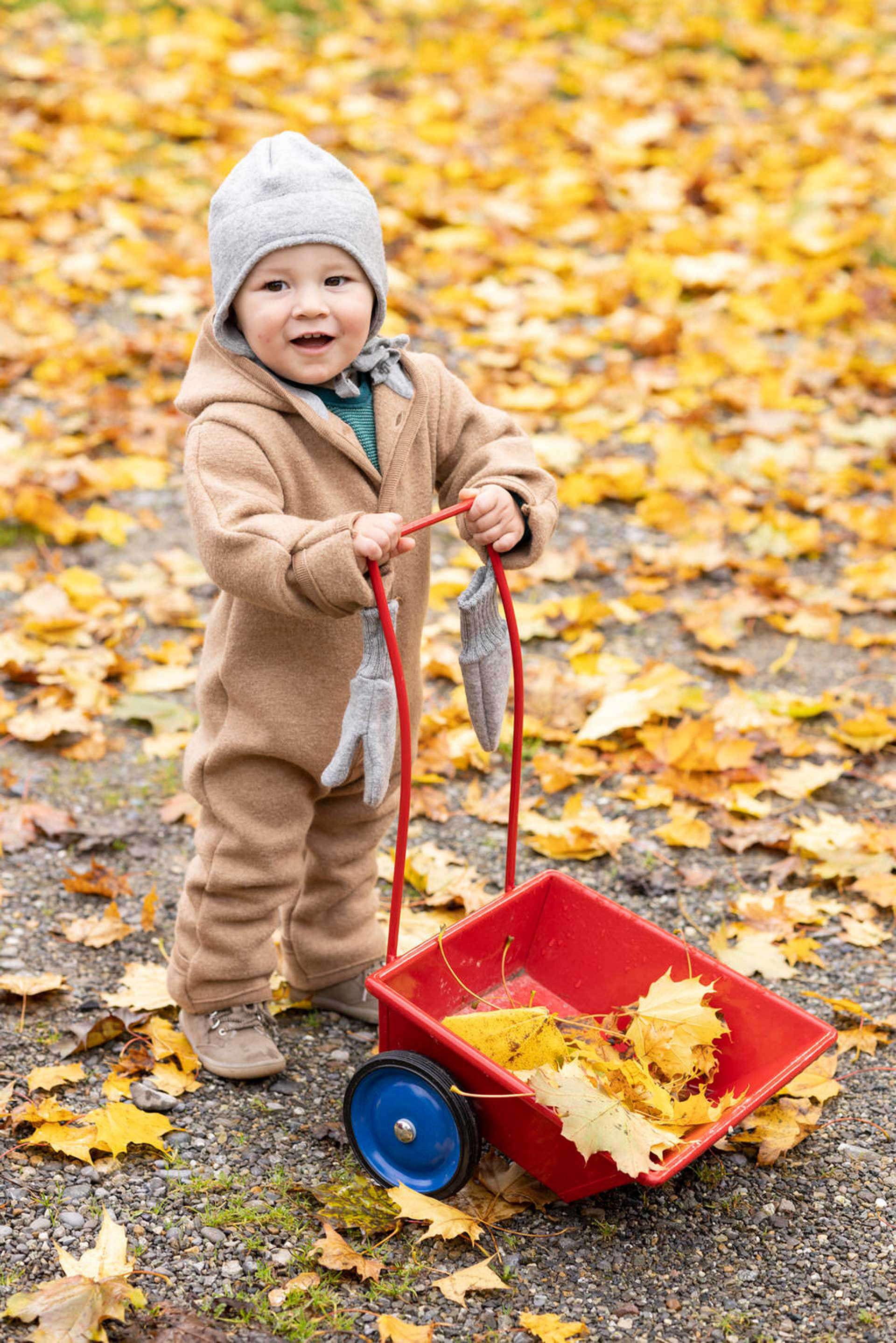 Walk-Overall